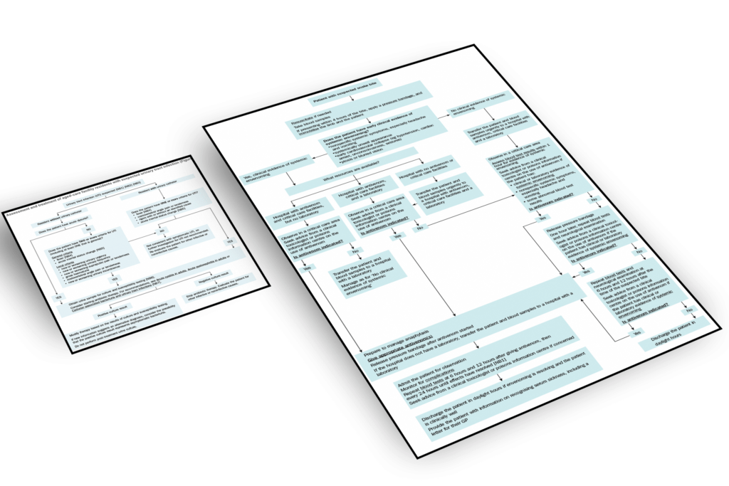 AMC Guidelines | Unlock Medical Practices for Exam Success